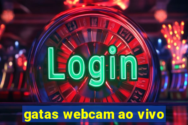 gatas webcam ao vivo